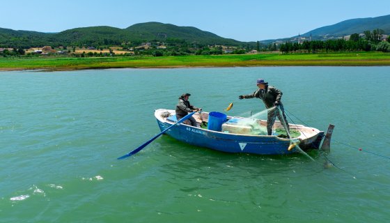 ALMUS RESİMLERİ